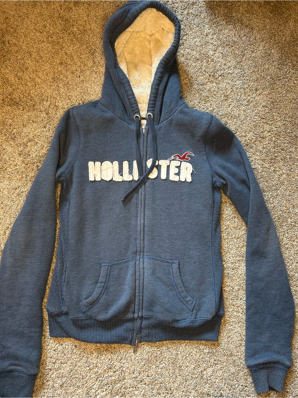Hollister Y2K  Sherpa-Lined Zip Hoodie